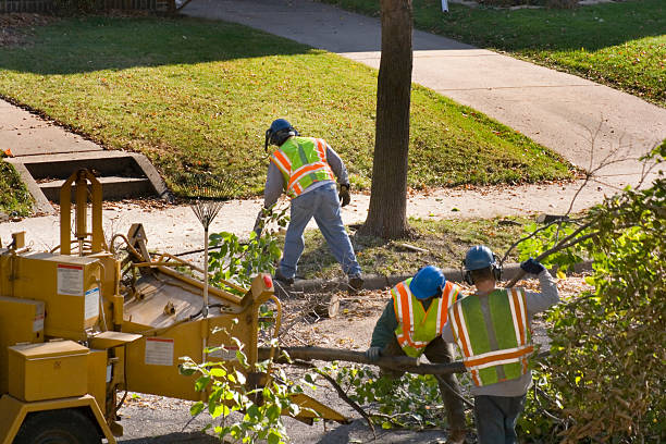 Best Emergency Tree Removal  in Sunnyvale, CA